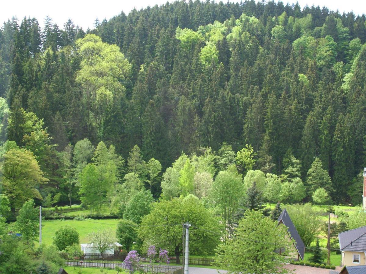 Leubsdorf Exclusive Apartment In The Beautiful Ore Mountains מראה חיצוני תמונה